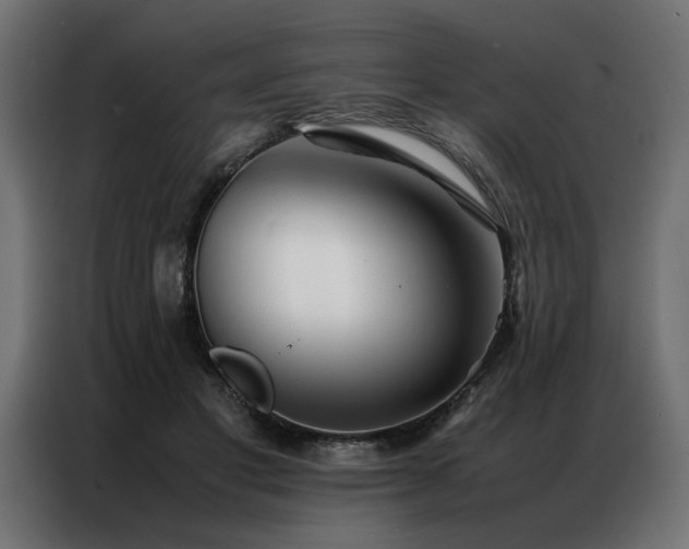 X0000086990501200704161508