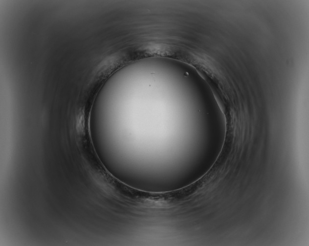 X0000086990502200704161508