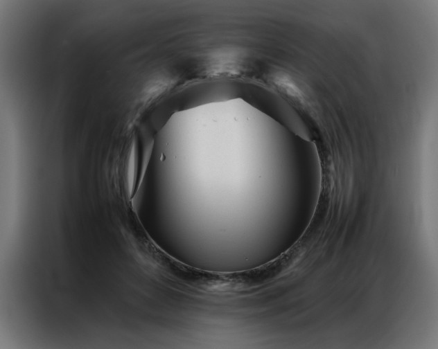 X0000086990504200704161508