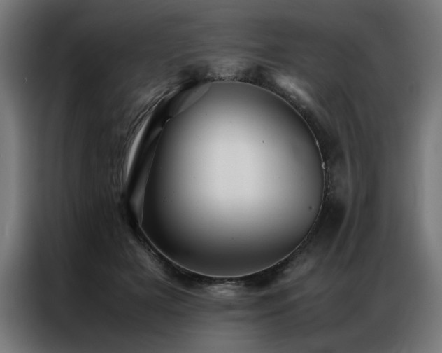 X0000086990505200704161508