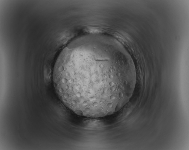 X0000086990507200704161508