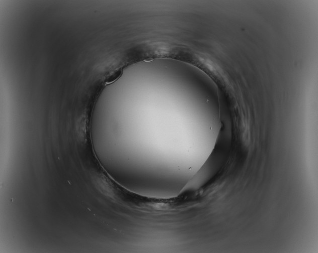 X0000086990509200704161508