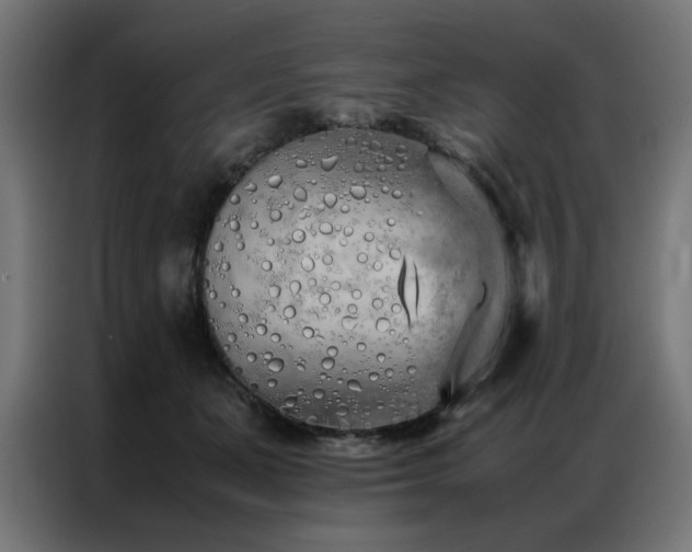X0000086990511200704161508
