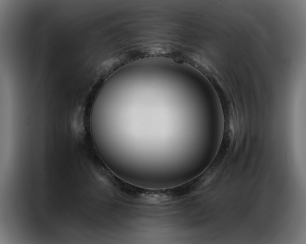 X0000086990512200704161508