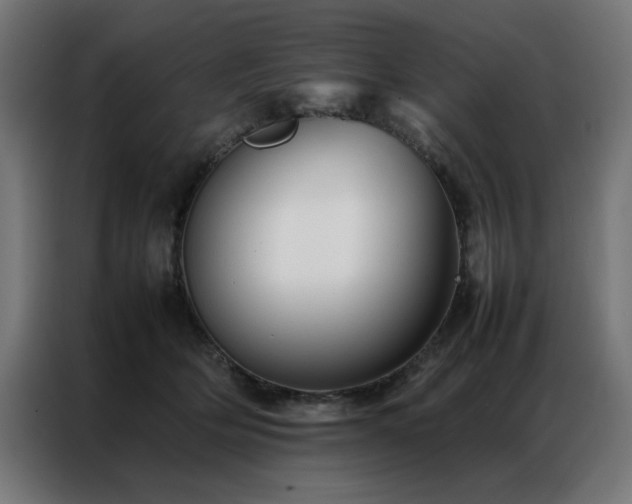 X0000086990514200704161508