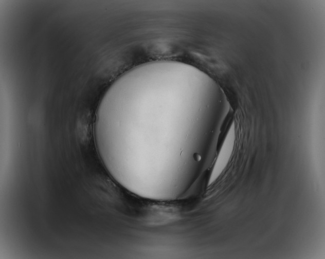 X0000086990515200704161508