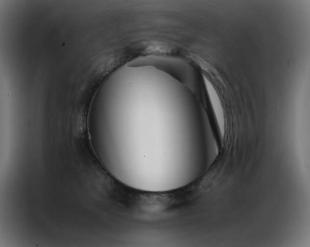 X0000086990517200704161508