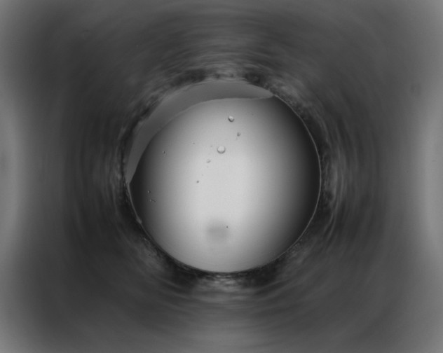 X0000086990518200704161508