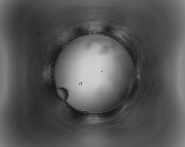 X0000086990519200704161508