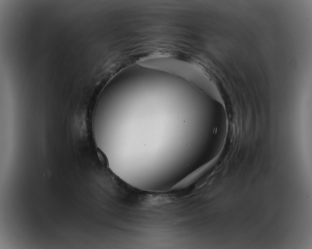 X0000086990520200704161508