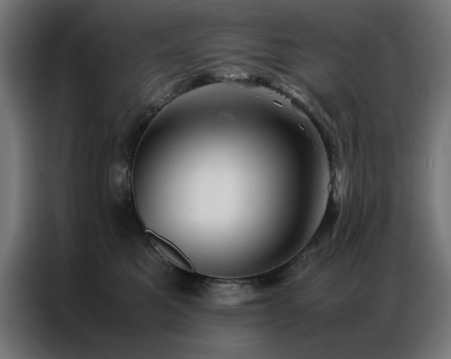 X0000086990521200704161508