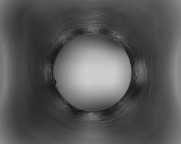 X0000086990522200704161508