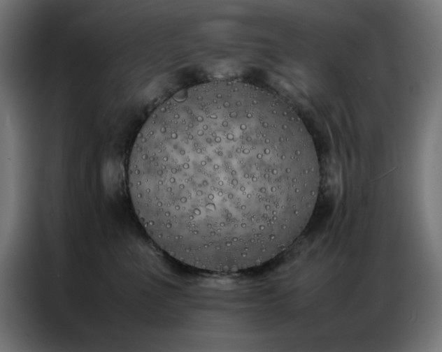 X0000086990523200704161508