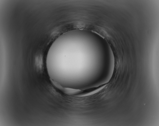 X0000086990524200704161508