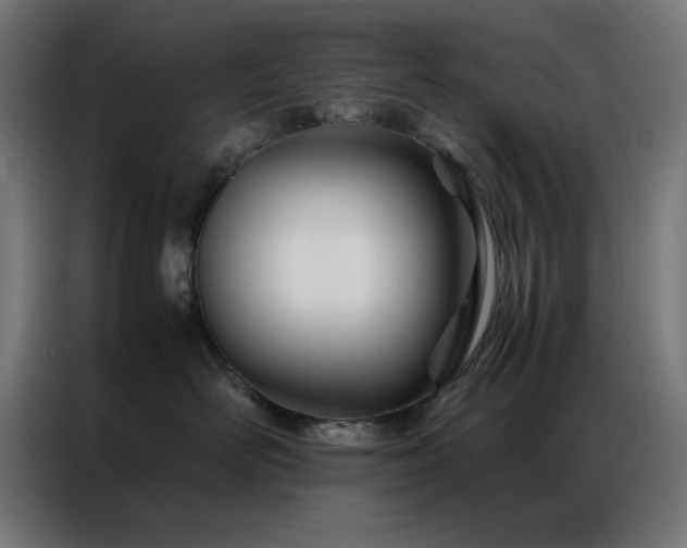 X0000086990526200704161508