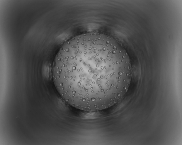 X0000086990527200704161508