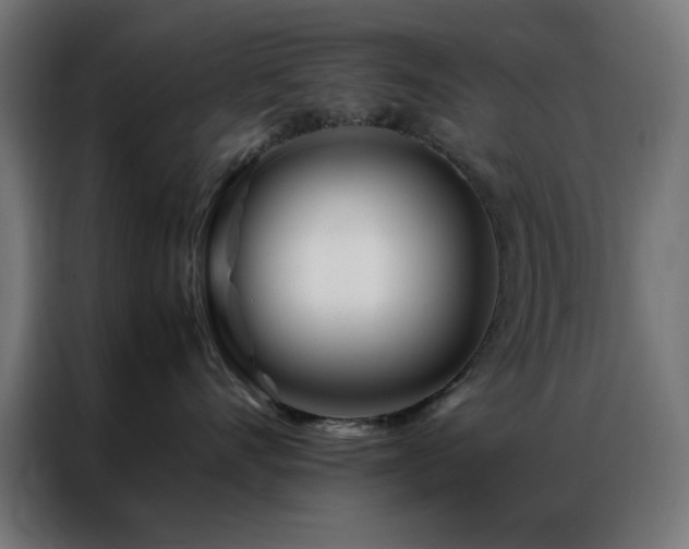 X0000086990528200704161508