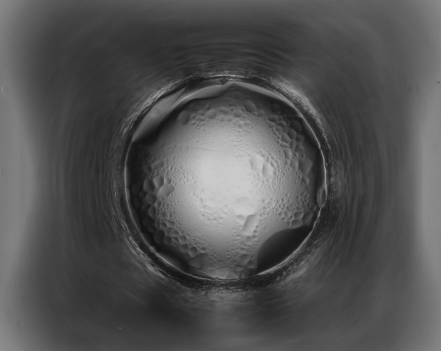 X0000086990529200704161507
