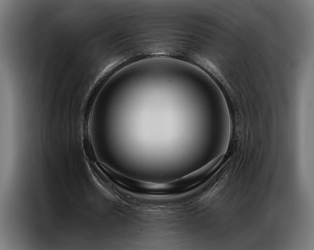X0000086990530200704161507