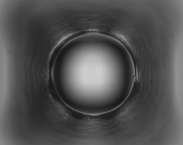 X0000086990531200704161507