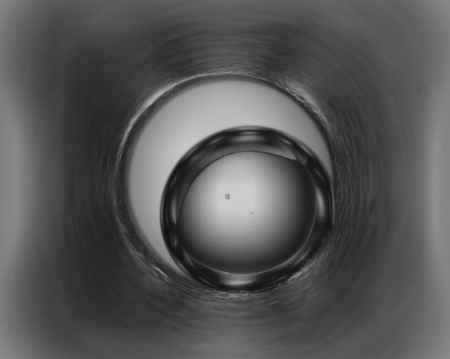 X0000086990532200704161507