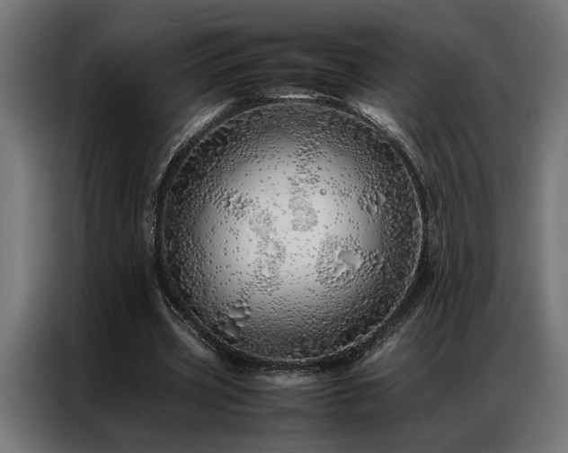 X0000086990533200704161507