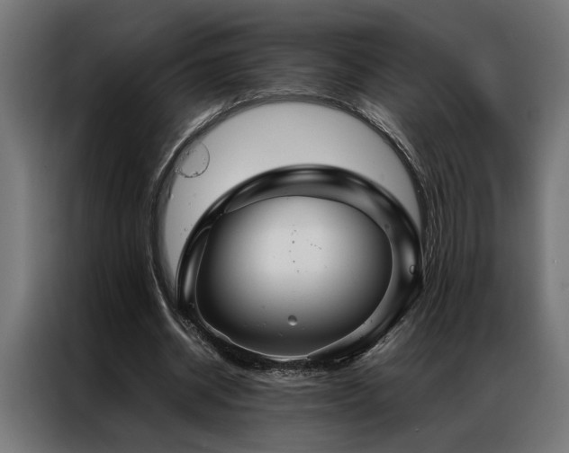 X0000086990534200704161507