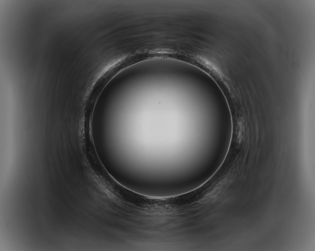 X0000086990535200704161507