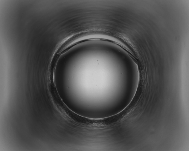 X0000086990536200704161508