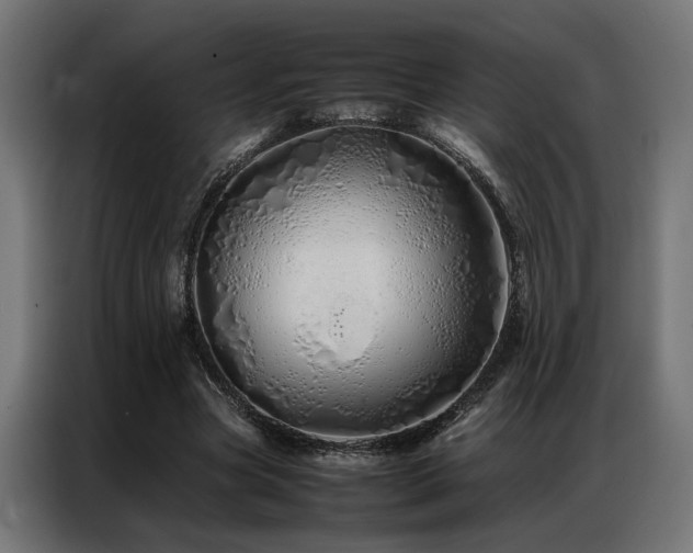 X0000086990537200704161508