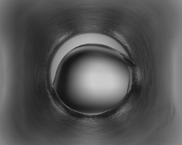 X0000086990538200704161508