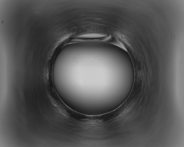 X0000086990539200704161508