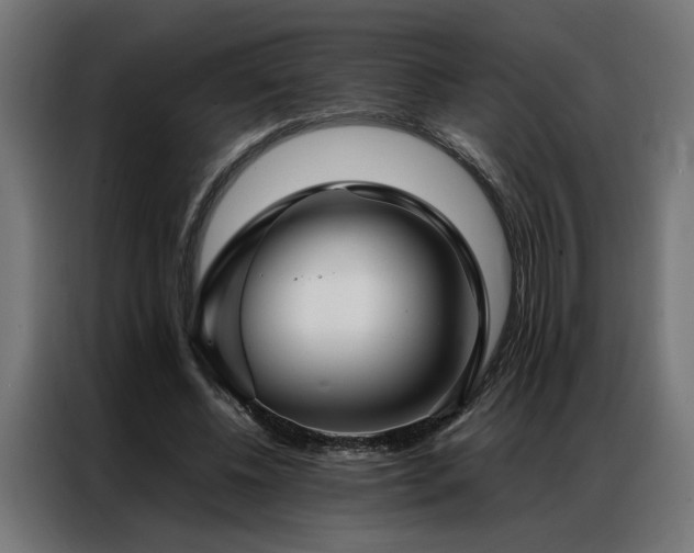 X0000086990540200704161508