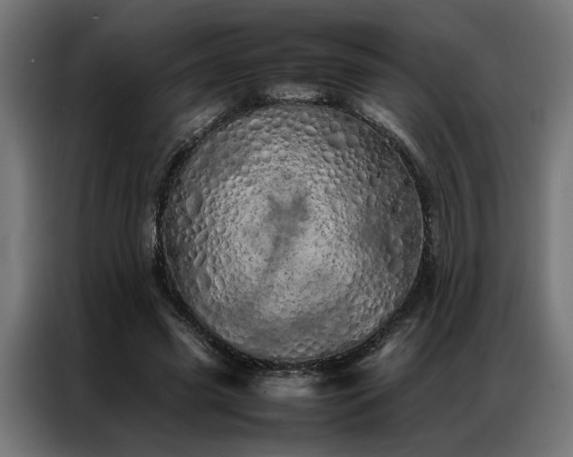 X0000086990541200704161508