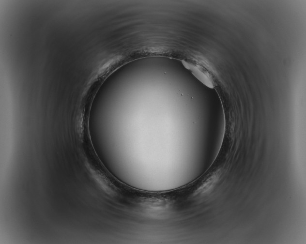 X0000086990542200704161508