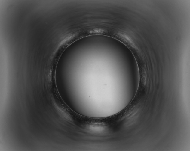 X0000086990543200704161508
