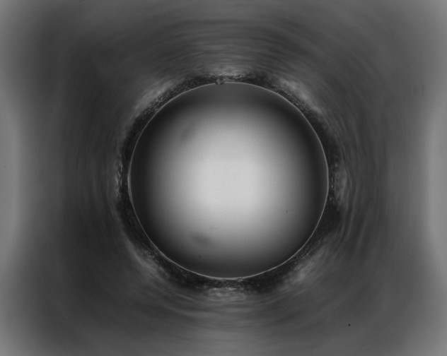 X0000086990544200704161508