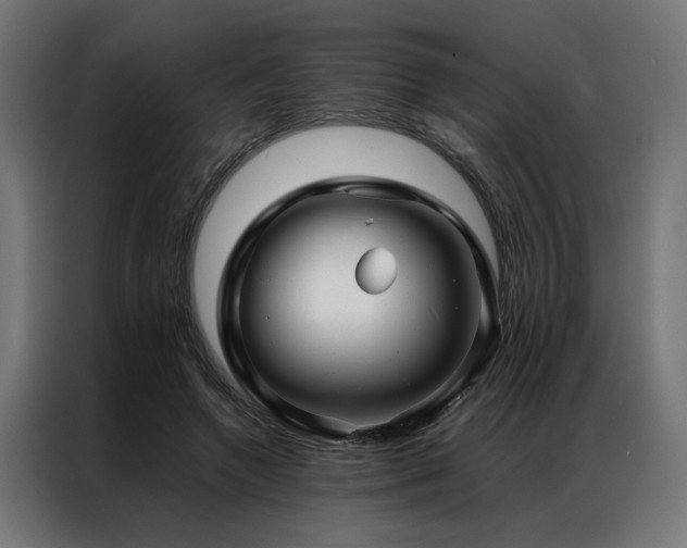 X0000086990546200704161508
