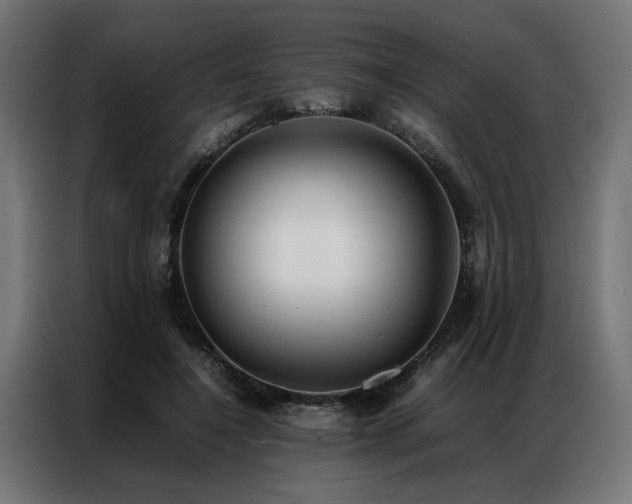 X0000086990548200704161508