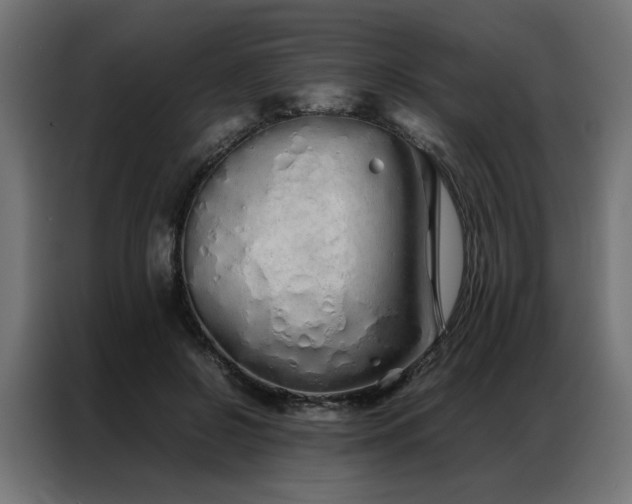 X0000086990550200704161508