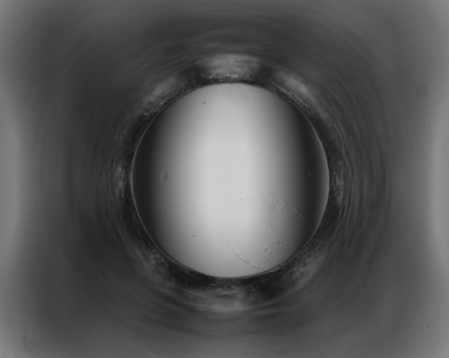 X0000086990551200704161508
