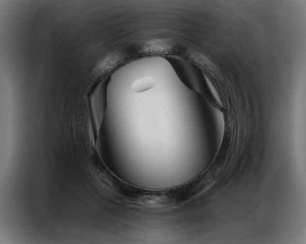 X0000086990552200704161508