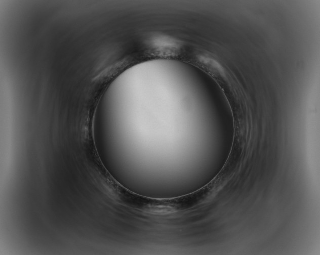 X0000086990553200704161508