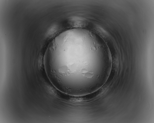X0000086990554200704161508