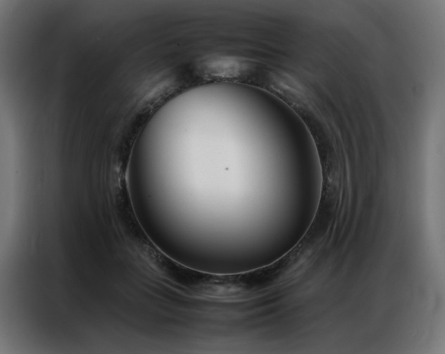 X0000086990555200704161508