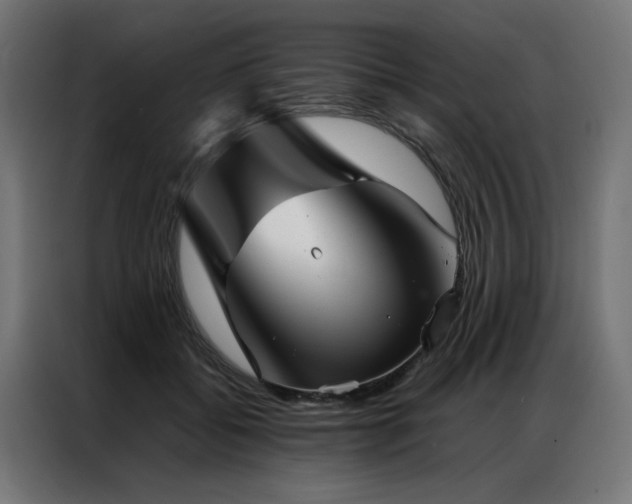X0000086990556200704161508