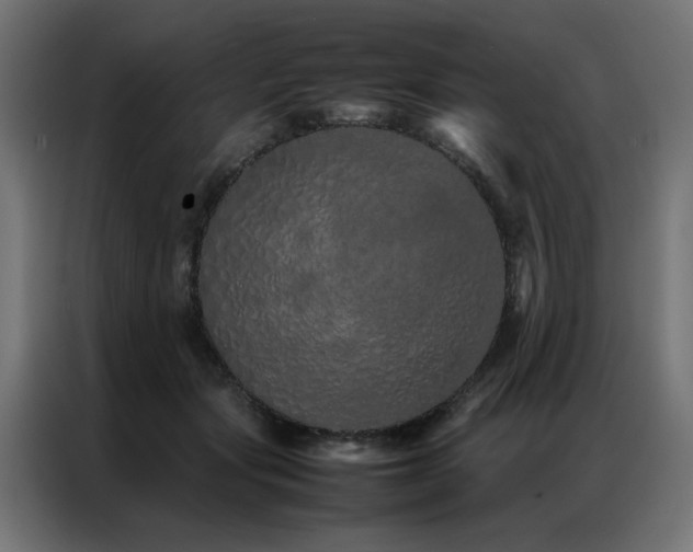X0000086990557200704161508