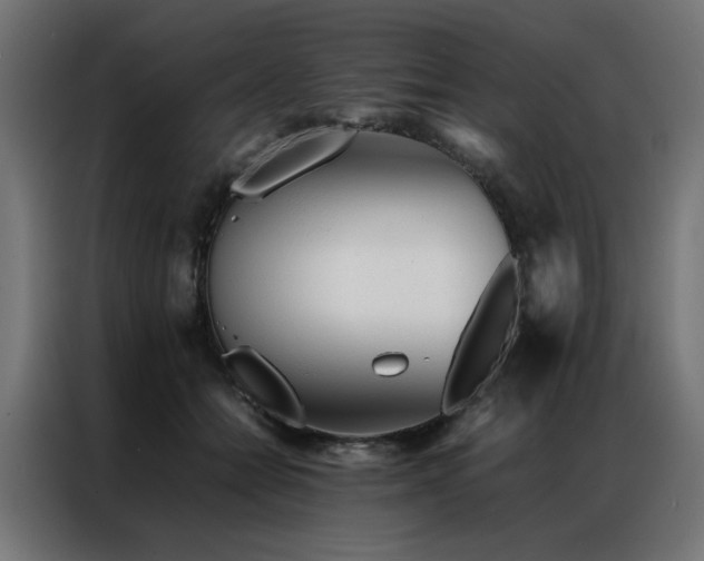 X0000086990558200704161508