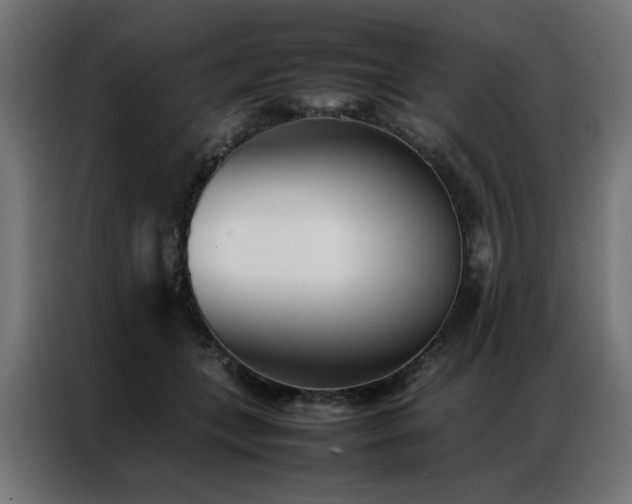 X0000086990559200704161508