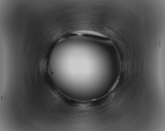 X0000086990560200704161508